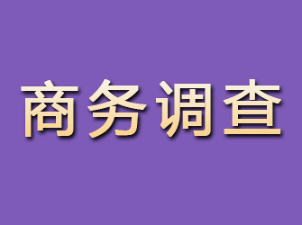 沙湾商务调查